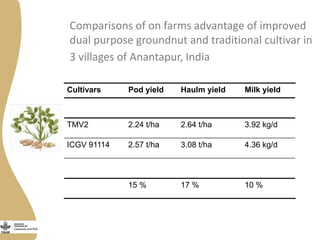 Opportunities and limitations of multidimensional crop improvement in grain legumes to support increased productivity in mixed crop livestock systems 