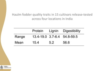Opportunities and limitations of multidimensional crop improvement in grain legumes to support increased productivity in mixed crop livestock systems 