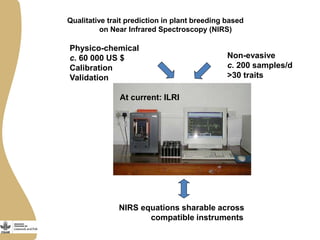 Opportunities and limitations of multidimensional crop improvement in grain legumes to support increased productivity in mixed crop livestock systems 