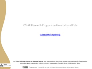 Opportunities and limitations of multidimensional crop improvement in grain legumes to support increased productivity in mixed crop livestock systems 