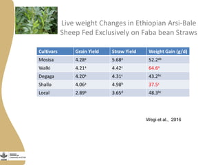 Opportunities and limitations of multidimensional crop improvement in grain legumes to support increased productivity in mixed crop livestock systems 