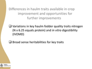 Opportunities and limitations of multidimensional crop improvement in grain legumes to support increased productivity in mixed crop livestock systems 