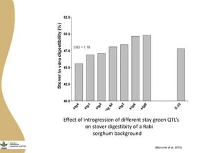 Opportunities from multi-dimensional crop improvement and the supporting role of Near Infrared Spectroscopy(NIRS) networks