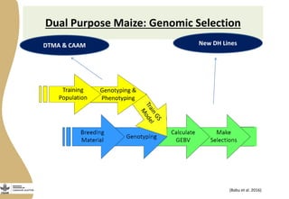 Opportunities from multi-dimensional crop improvement and the supporting role of Near Infrared Spectroscopy(NIRS) networks