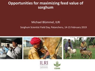 Opportunities for maximizing feed value of
sorghum
Michael Blümmel, ILRI
Sorghum Scientist Field Day, Patancheru, 14-15 February 2019
 