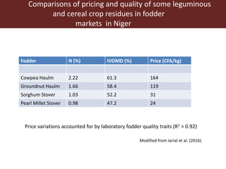Opportunities for maximizing feed value of sorghum 