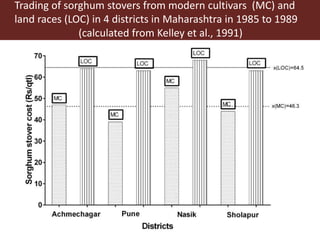 Opportunities for maximizing feed value of sorghum 