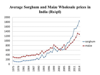Opportunities for maximizing feed value of sorghum 