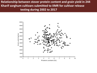 Opportunities for maximizing feed value of sorghum 