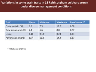 Opportunities for maximizing feed value of sorghum 