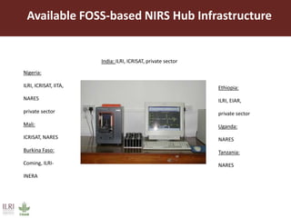 Opportunities for maximizing feed value of sorghum 