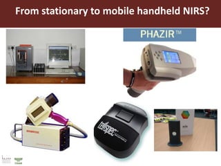 Opportunities for maximizing feed value of sorghum 