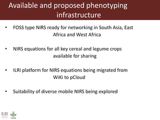 Opportunities for maximizing feed value of sorghum 