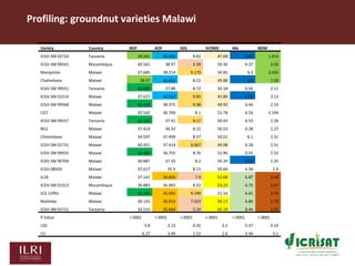Opportunities for maximizing feed value of sorghum 