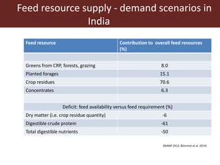 Opportunities for maximizing feed value of sorghum 