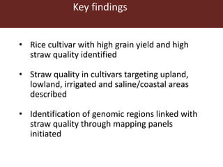 Opportunities for maximizing feed value of sorghum 