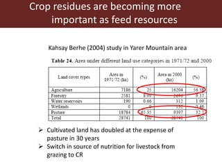 Opportunities for maximizing feed value of sorghum 