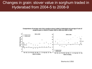 Opportunities for maximizing feed value of sorghum 