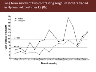 Opportunities for maximizing feed value of sorghum 