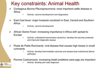 Importance of livestock and the technological and policy challenges facing the development of livestock in Africa 