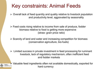 Importance of livestock and the technological and policy challenges facing the development of livestock in Africa 