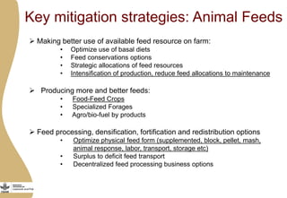 Importance of livestock and the technological and policy challenges facing the development of livestock in Africa 