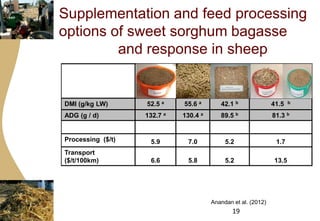 Importance of livestock and the technological and policy challenges facing the development of livestock in Africa 
