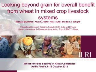 Looking beyond grain for overall benefit
  from wheat in mixed crop livestock
               systems
      Michael Blϋmmel1, Arun K Joshi2, Nils Teufel1 and Iain A. Wright1

             1
              International Livestock Research Institute (ILRI), India and Ethiopia
        2
            Centro Internacional de Mejoramiento de Maíz y Trigo (CIMMYT), Nepal




                  Wheat for Food Security in Africa Conference
                        Addis Ababa, 8-12 October 2012                                1
 