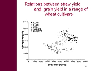 Looking beyond grain for overall benefit from wheat in mixed crop livestock systems