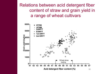 Looking beyond grain for overall benefit from wheat in mixed crop livestock systems