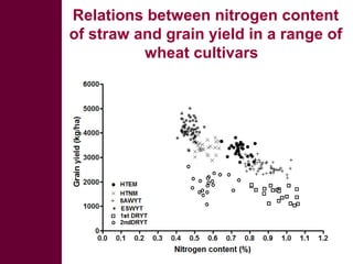 Looking beyond grain for overall benefit from wheat in mixed crop livestock systems