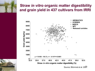 Looking beyond grain for overall benefit from wheat in mixed crop livestock systems