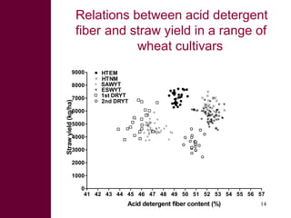 Looking beyond grain for overall benefit from wheat in mixed crop livestock systems