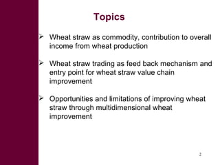 Looking beyond grain for overall benefit from wheat in mixed crop livestock systems