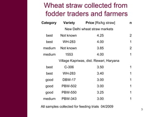 Looking beyond grain for overall benefit from wheat in mixed crop livestock systems