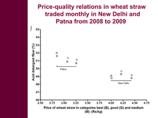Looking beyond grain for overall benefit from wheat in mixed crop livestock systems