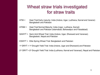Looking beyond grain for overall benefit from wheat in mixed crop livestock systems