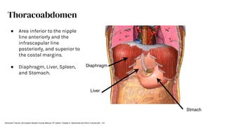 Liver
Diaphragm
Stmach
Thoracoabdomen
● Area inferior to the nipple
line anteriorly and the
infrascapular line
posteriorly, and superior to
the costal margins.
● Diaphragm, Liver, Spleen,
and Stomach.
Advanced Trauma Life Support Student Course Manual 10th edition. Chapter 5, Abdominal and Pelvic Trauma p82 - 101
 