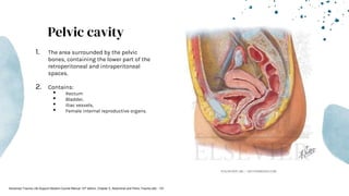 Pelvic cavity
1. The area surrounded by the pelvic
bones, containing the lower part of the
retroperitoneal and intraperitoneal
spaces.
2. Contains:
• Rectum
• Bladder,
• Iliac vessels,
• Female internal reproductive organs.
Advanced Trauma Life Support Student Course Manual 10th edition. Chapter 5, Abdominal and Pelvic Trauma p82 - 101
 