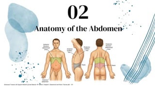Anatomy of the Abdomen
02
Advanced Trauma Life Support Student Course Manual 10th edition. Chapter 5, Abdominal and Pelvic Trauma p82 - 101
 