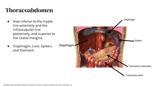 Diaphragm
Transverse mesocolon
Transverse colon
Diaphragm
Thoracoabdomen
● Area inferior to the nipple
line anteriorly and the
infrascapular line
posteriorly, and superior to
the costal margins.
● Diaphragm, Liver, Spleen,
and Stomach.
Advanced Trauma Life Support Student Course Manual 10th edition. Chapter 5, Abdominal and Pelvic Trauma p82 - 101
Spleen
 