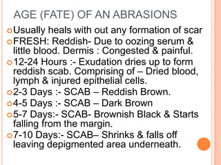 AGE (FATE) OF AN ABRASIONS Usually heals with out any formation of scarFRESH: Reddish- Due to oozing serum & little blood. Dermis : Congested & painful.12-24 Hours :- Exudation dries up to form reddish scab. Comprising of – Dried blood, lymph & injured epithelial cells.2-3 Days :- SCAB – Reddish Brown.4-5 Days :- SCAB – Dark Brown 5-7 Days:- SCAB- Brownish Black & Starts falling from the margin.7-10 Days:- SCAB– Shrinks & falls off leaving depigmented area underneath.