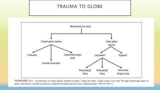 TRAUMA TO GLOBE
 