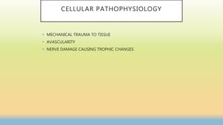 CELLULAR PATHOPHYSIOLOGY
• MECHANICAL TRAUMA TO TISSUE
• AVASCULARITY
• NERVE DAMAGE CAUSING TROPHIC CHANGES
 
