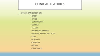 CLINICAL FEATURES
• EFFECTS CAN BE SEEN ON
-ORBIT
-EYELID
-CONJUNCTIVA
-CORNEA
-SCLERA
-ANTERIOR CHAMBER
-IRIS,PUPIL AND CILIARY BODY
-LENS
-VITREOUS
-CHOROID
-RETINA
-OPTIC NERVE
 