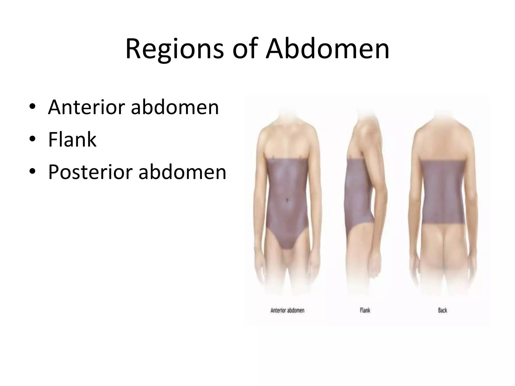 Blunt Trauma Abdomen PPTX Blunt Trauma Abdomen PPTX