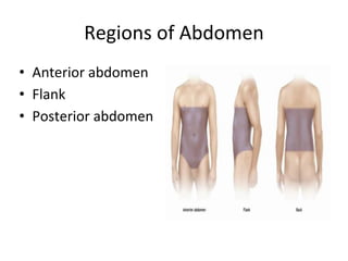 Regions of Abdomen
• Anterior abdomen
• Flank
• Posterior abdomen
 