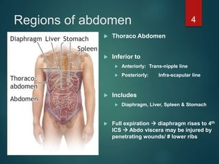 Regions of abdomen
 Thoraco Abdomen
 Inferior to
 Anteriorly: Trans-nipple line
 Posteriorly: Infra-scapular line
 Includes
 Diaphragm, Liver, Spleen & Stomach
 Full expiration  diaphragm rises to 4th
ICS  Abdo viscera may be injured by
penetrating wounds/ # lower ribs
4
 