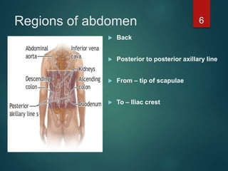 Regions of abdomen
 Back
 Posterior to posterior axillary line
 From – tip of scapulae
 To – Iliac crest
6
 