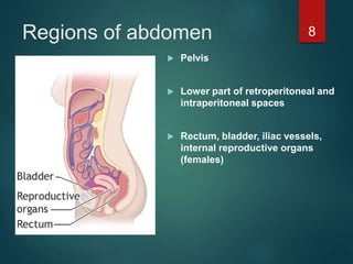 Regions of abdomen
 Pelvis
 Lower part of retroperitoneal and
intraperitoneal spaces
 Rectum, bladder, iliac vessels,
internal reproductive organs
(females)
8
 